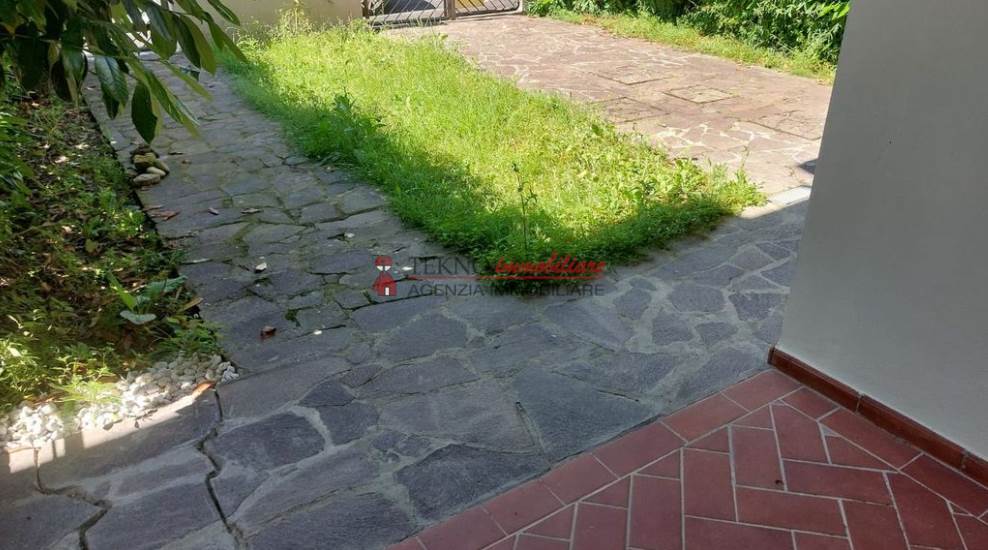 Photo 50